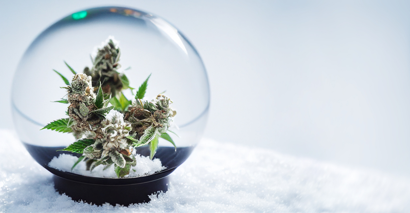 Heirloom Collective's Best Holiday Weed Deals & 10 Can't-Miss Gift Ideas